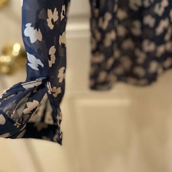 Small Alice Blue Sheer Button Cheetah Top NEW - Picture 2 of 12